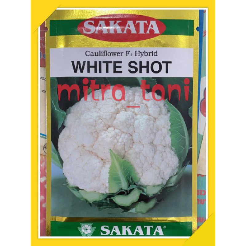 benih brokoli/bunga kol cauliflower WHITE SHOT dari SAKATA SEED kemasan 10gram