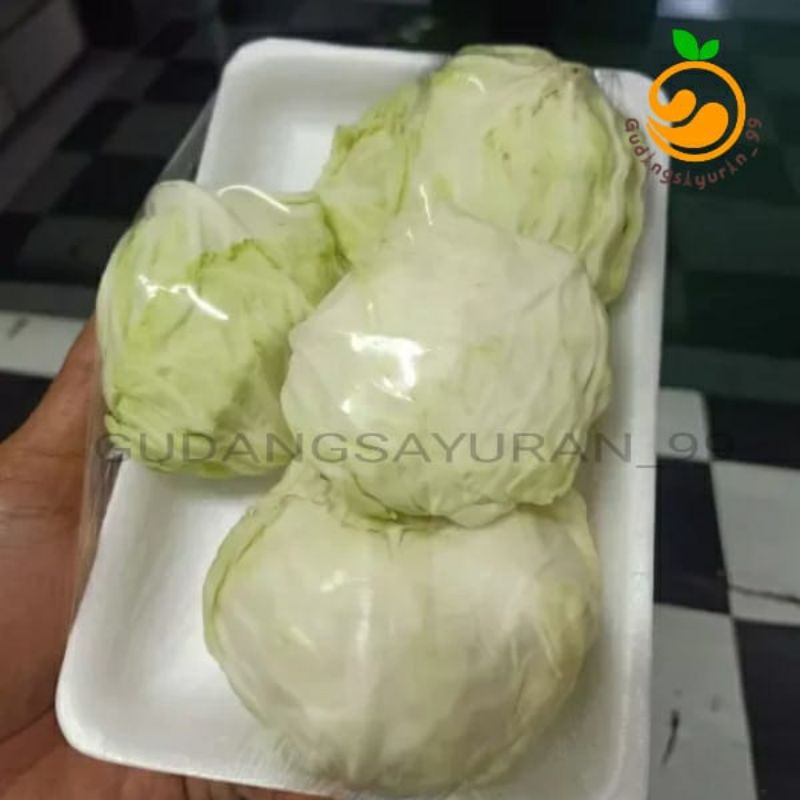 

Kol putih baby 500 gram