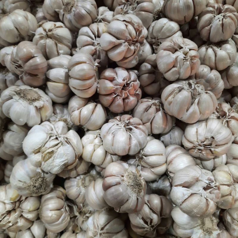 

Bawang Putih 1kg