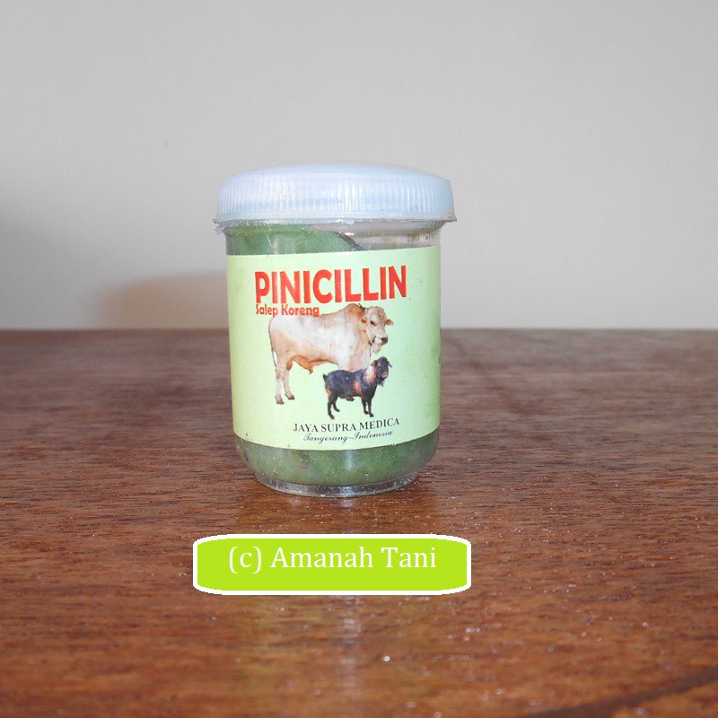Salep Pinicilin Obat Luka Koreng Kudis Jamur Gatal Kambing Domba