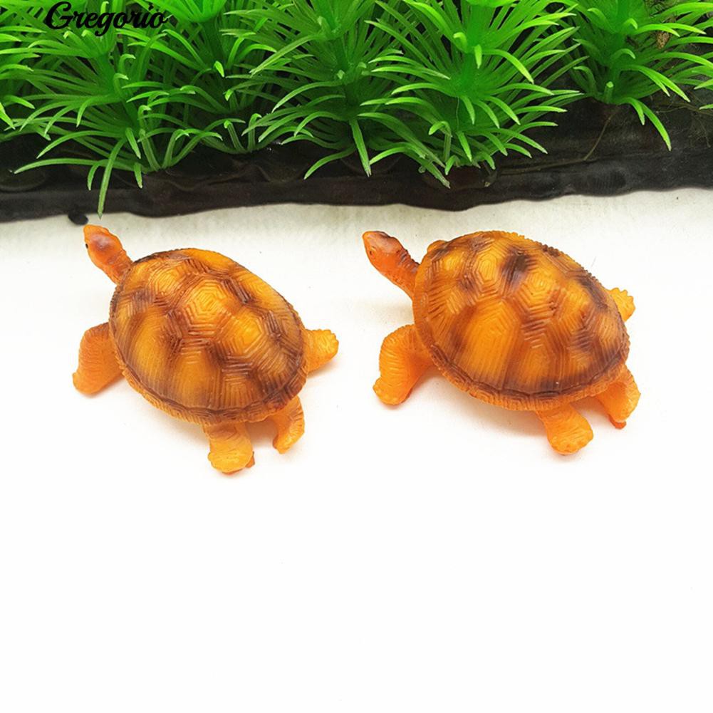 480 Koleksi Download Gambar Hewan Kura Kura Gratis