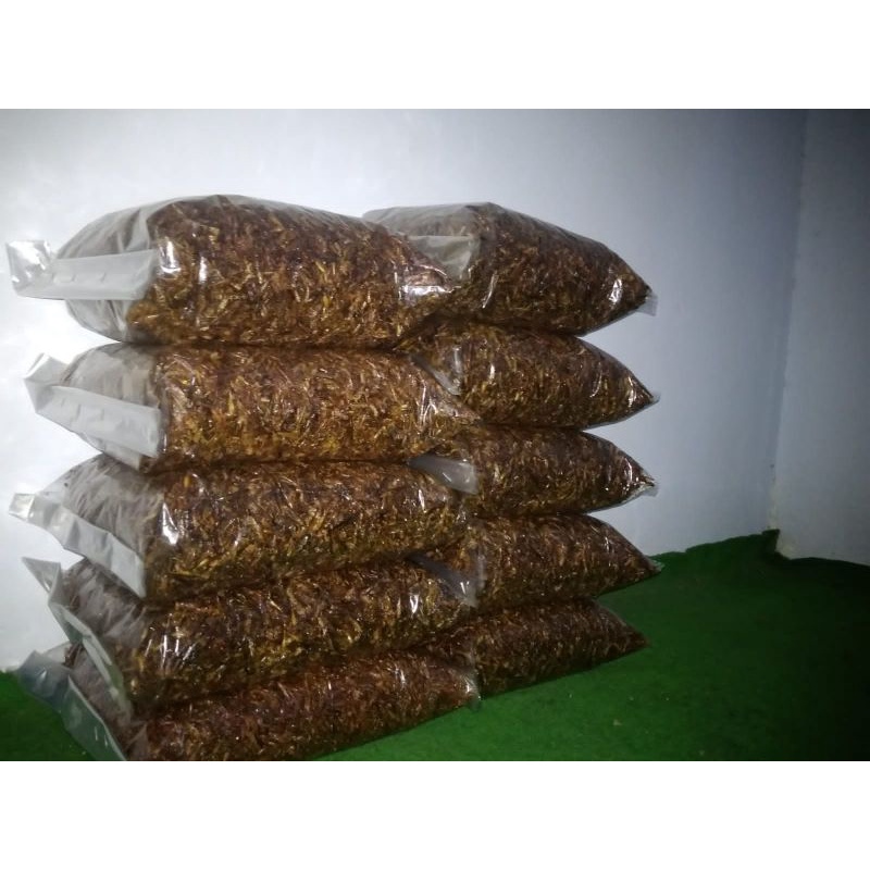 

belalang goreng kemasan 1kg 300rb an