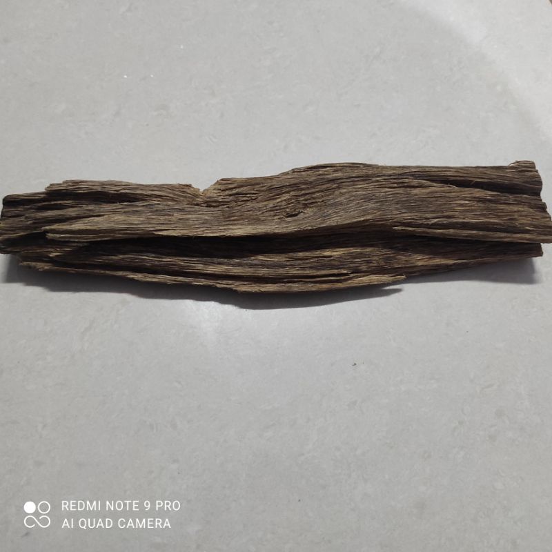 kayu gaharu super king