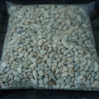 BATU HIAS KECIL  500 gram BATU POT  BATU ALAM ASLI 