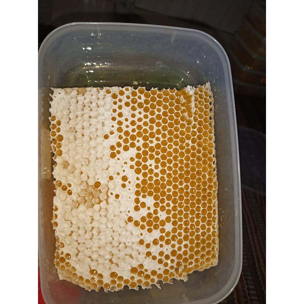 

2Xbtygneal Sakha Snack ) Sarang Madu Mellifera 500 Gram Murni Budidaya Bee Wax Honey Comb Rumah Madu