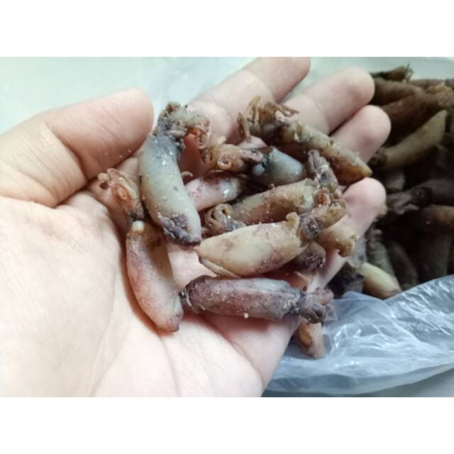 

Cumi asin ukuran sedang