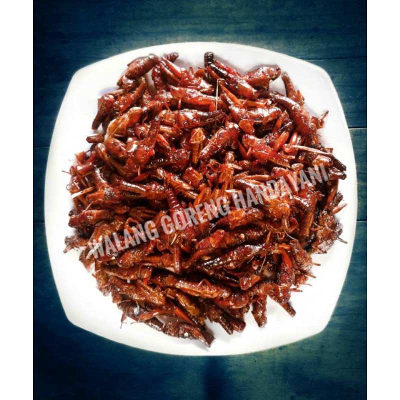 belalang goreng / walang goreng handayani curah