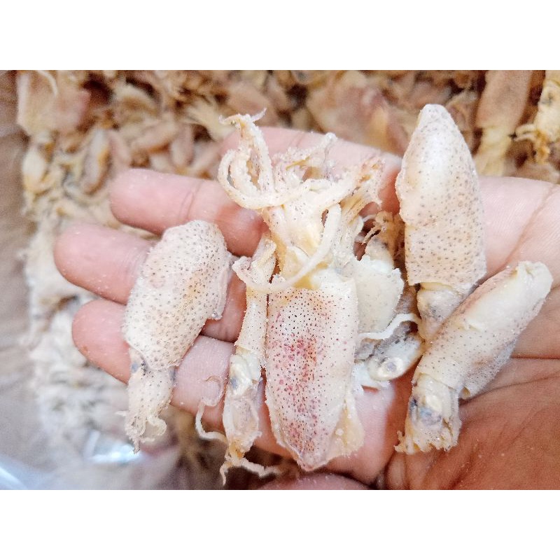 

Baby Cumi Asin, 500 gram
