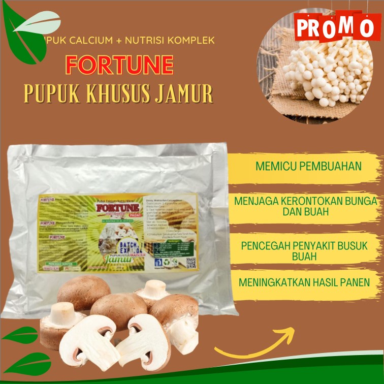 Pupuk Untuk Jamur Merang, Booster Jamur Nutrisi Untuk Jamur Merang