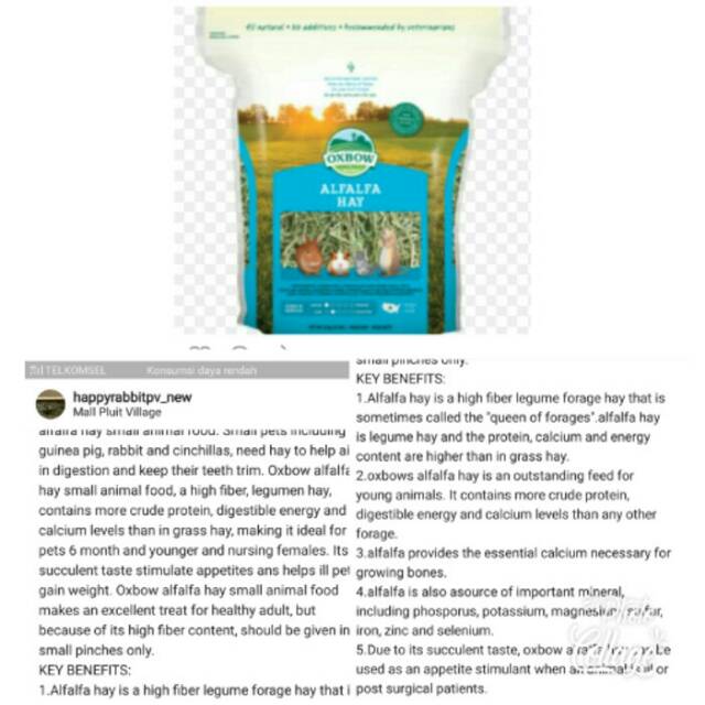 Fieno Alfalfa Oxbow Per Animali Giovani - 425 G, Ricco Di Calcio E Proteine - Foto 6