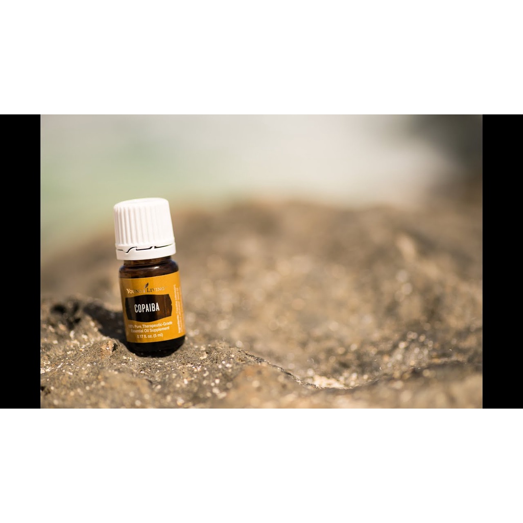 YOUNG LIVING ESSENTIAL OIL | COPAIBA 5 ML