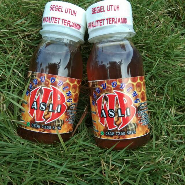 

Madu Odeng Hutan asli