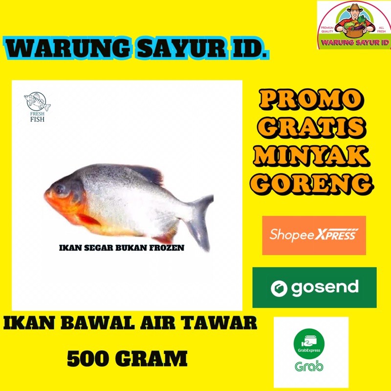 

WARUNG SAYUR ID.| IKAN BAWAL SEGAR 500 GRAM | IKAN ONLINE | IKAN SEGAR