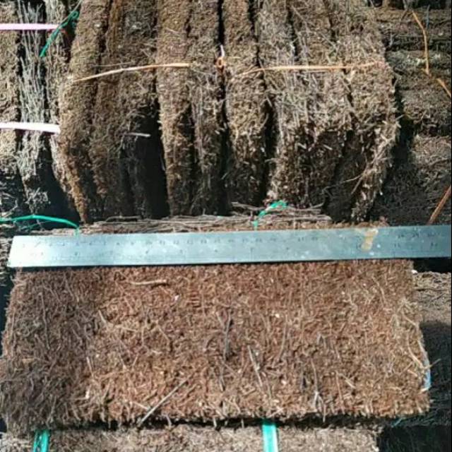 Grosir Papan Pakis Lempengan Pakis Media Tanaman WDxVyXCgxx3Vl