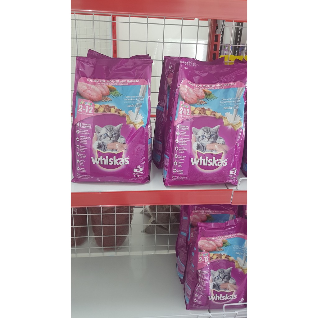 Makanan Kucing Kitten Whiskas Junior 1,1 kg freshpack