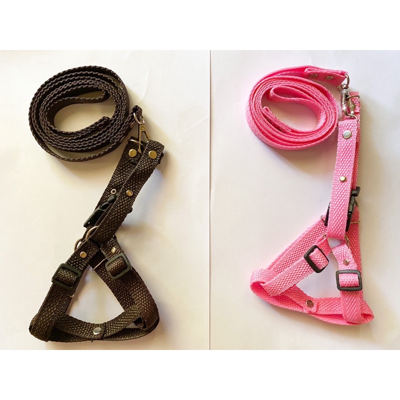 Tali Harness Y Polos 1,5cm