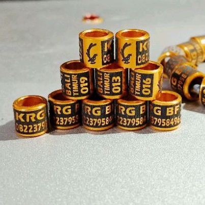 RING BURUNG GRAFIR/ PESAN NAMA/GOL LASER . COD.itam dan tersedia juga ukuran lovbird kenari jalak me