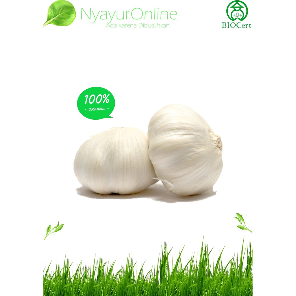 

Sayuran Bawang Putih Organik 250 gram