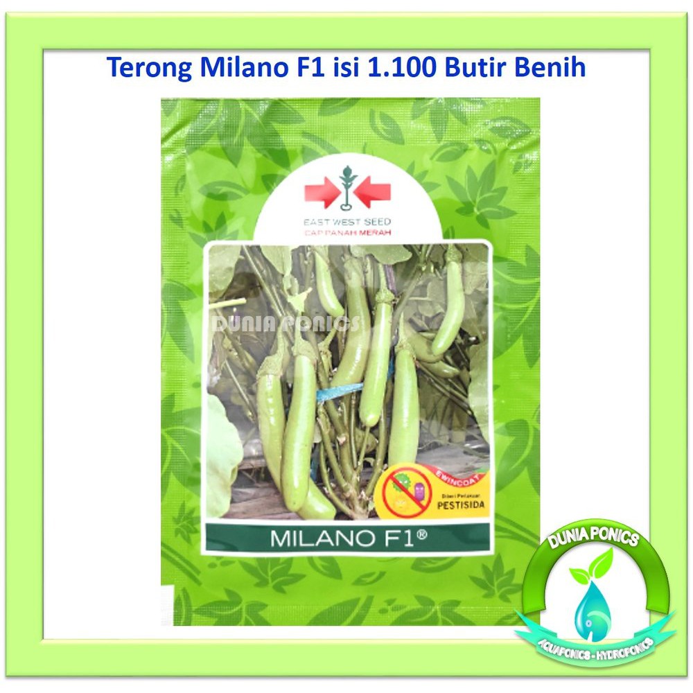 Benih Terong Hijau MILANO F1 Panah Merah Kemasan Asli 1.100 Buti