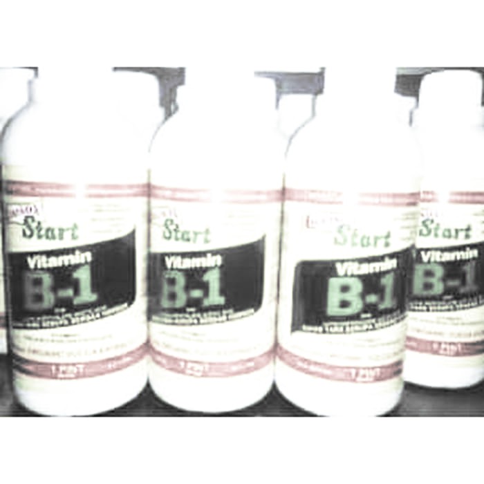 PUPUK VIT B1 VITAMIN - B1 Liquinox 470 Ml - ppk007