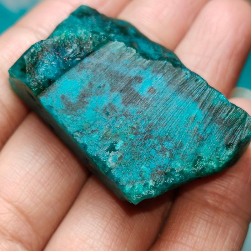 Bacan Majiko jumbo 4