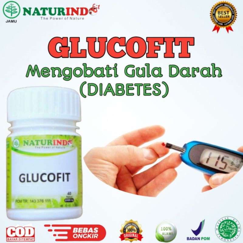 Obat Herbal Gula Darah Tinggi Diabetes Tinggi Paling Ampuh