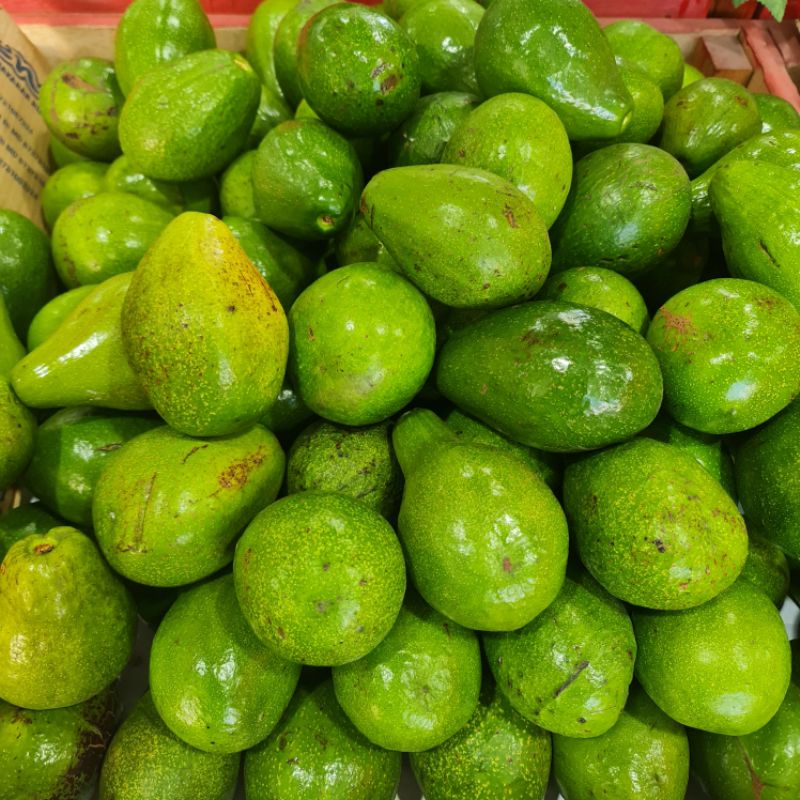 buah alpukat mentega 1kg