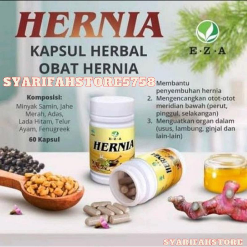 Obat Hernia | Kapsul Hernia Eza 60 Kapsul | Obat Herbal Hernia | Obat Herbal Turun Berok Ampuh