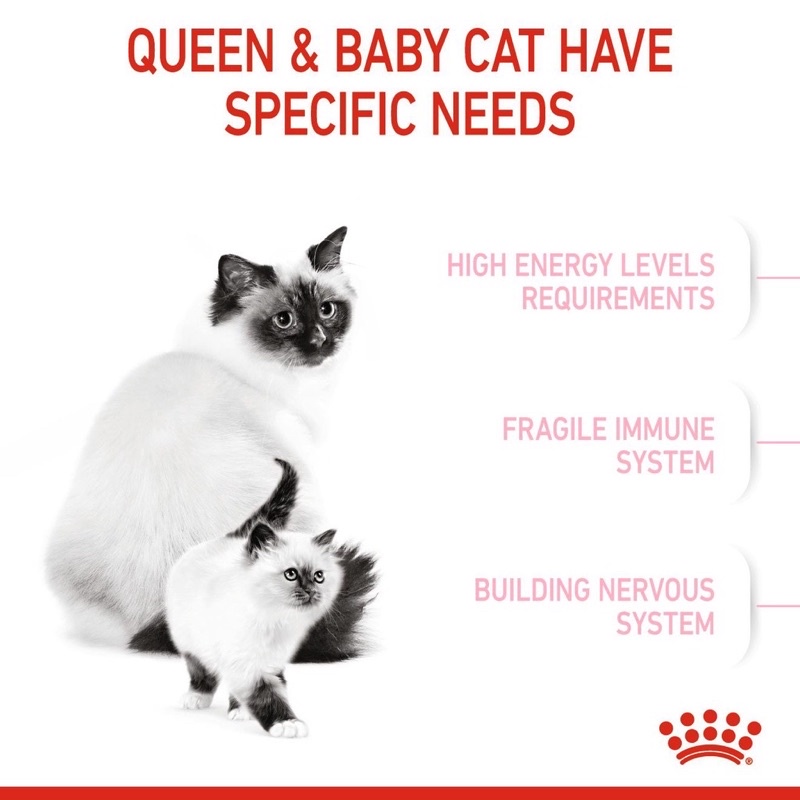 Royal Canin Mother and Baby cat 2kg makanan kucing kering