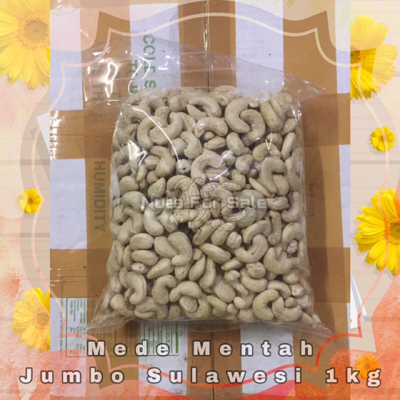 

Mede Mentah Jumbo Sulawesi