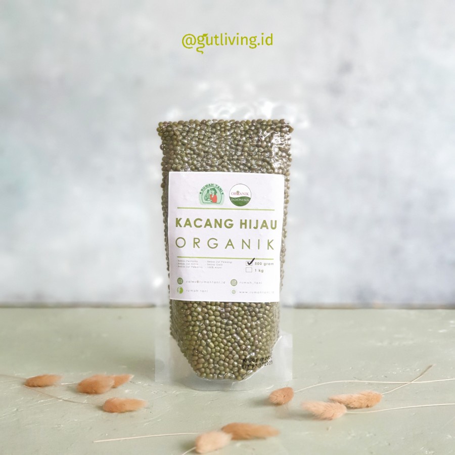 

Kacang Hijau Organik Rumah Tani Lestari 500gr