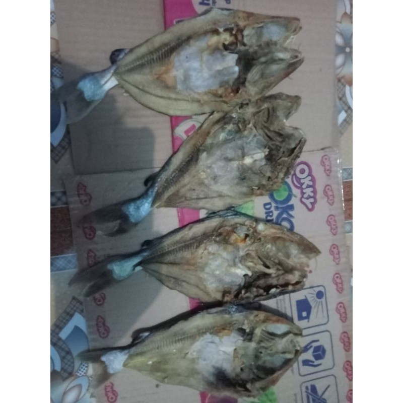 

Ikan asin dukang besar kecil ready 1kg