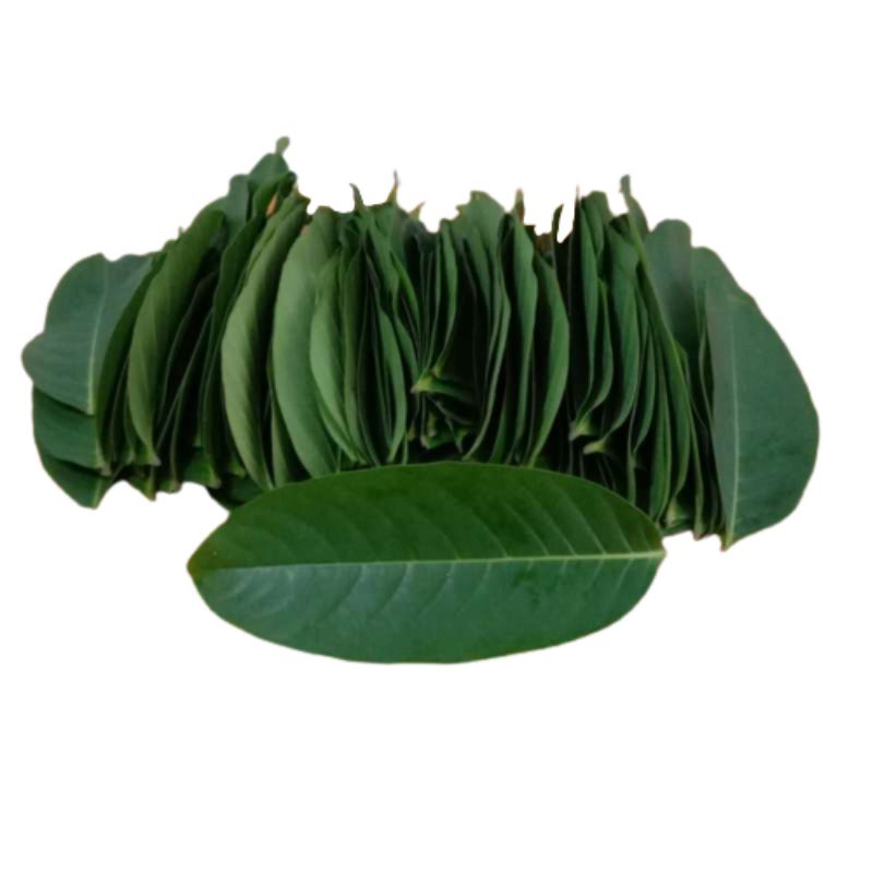

500gr Daun Bungur Fresh & organic