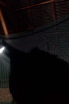 Promo !!! Baju Batik Anak Laki Laki Terbaru Nyaman Dan Stail Dipakai And Terlaris Terpopuler