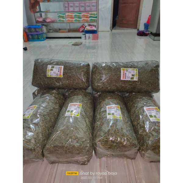 natural hay indigofera rumput kering makanan kelinci berprotein tinggi