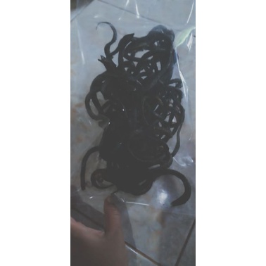 

BELUT GORENG TANPA TEPUNG 500GRAM