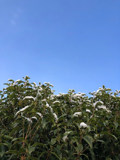 Kemeja Batik Anak Lengan Pendek