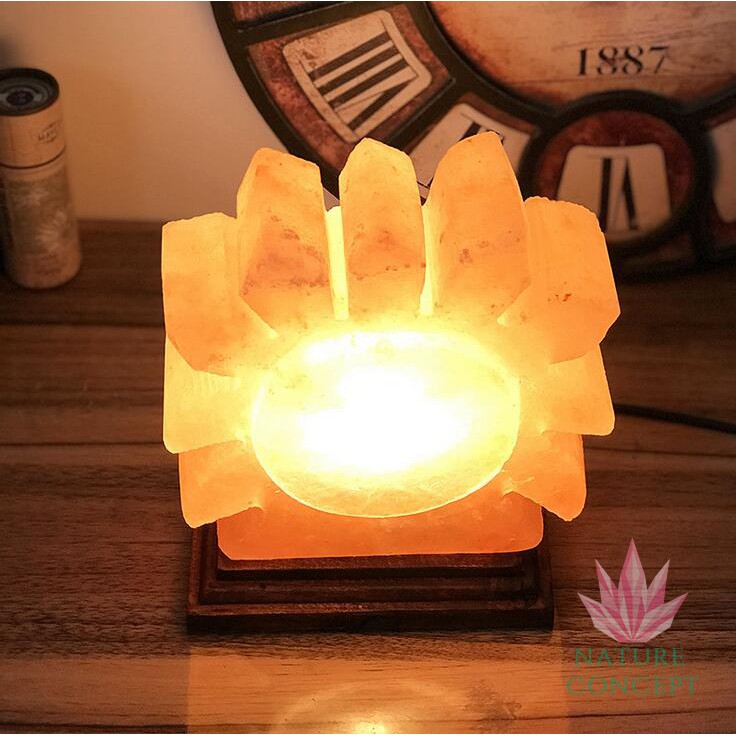 Himalayan Salt Lamp Lampu Kristal Garam Himalaya SUN Shape (RARE Item)