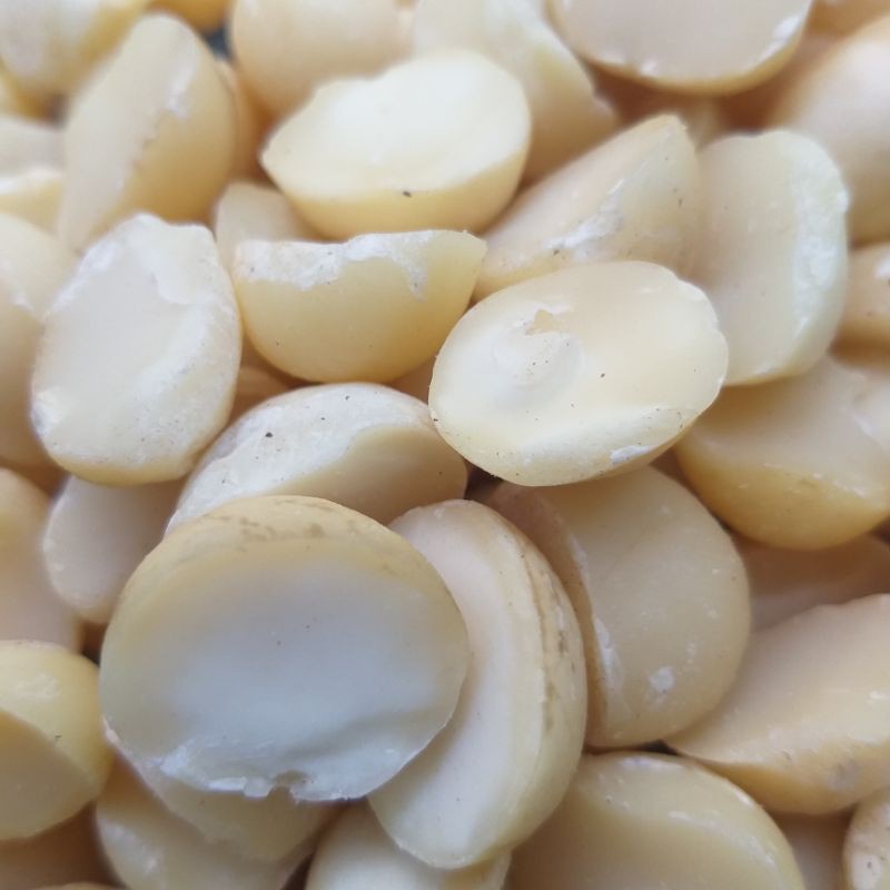 

Paket reseller Macadamia nuts belah