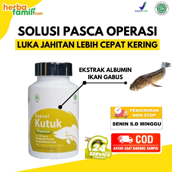 Kapsul Kutuk Premium Asli 100 Original Pil Kutuk Kapsul Ikan Gabus Kapsul Kutuk Asli Pro Albumin Kap