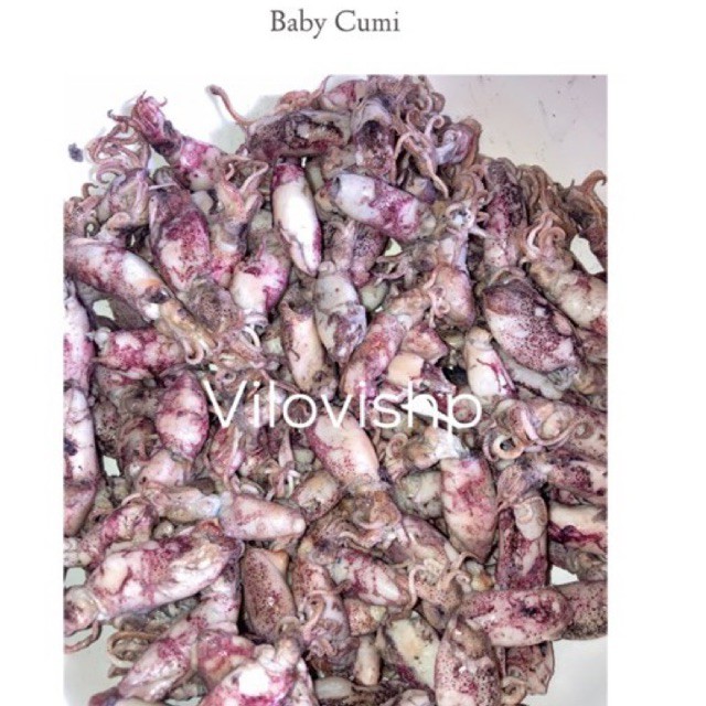 

baby cumi 100 gr