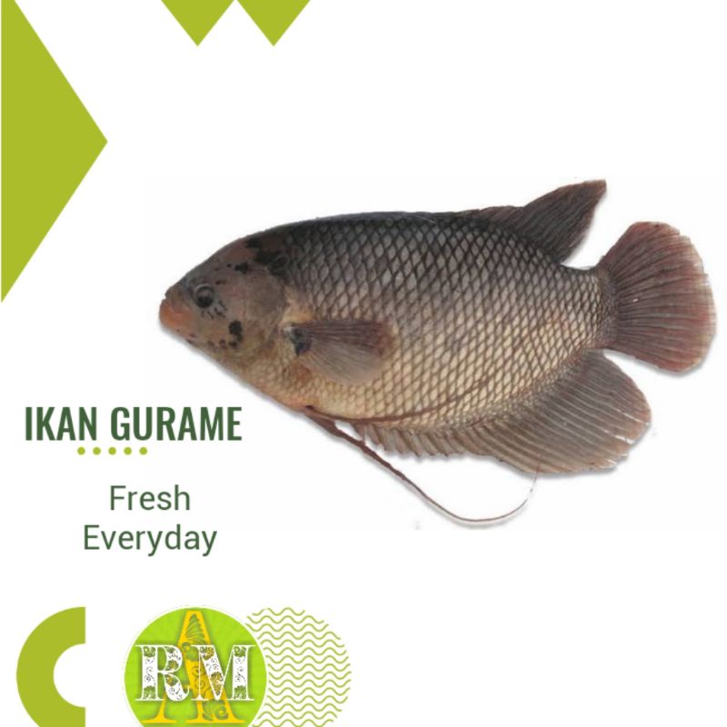 

IKAN GURAME 500g