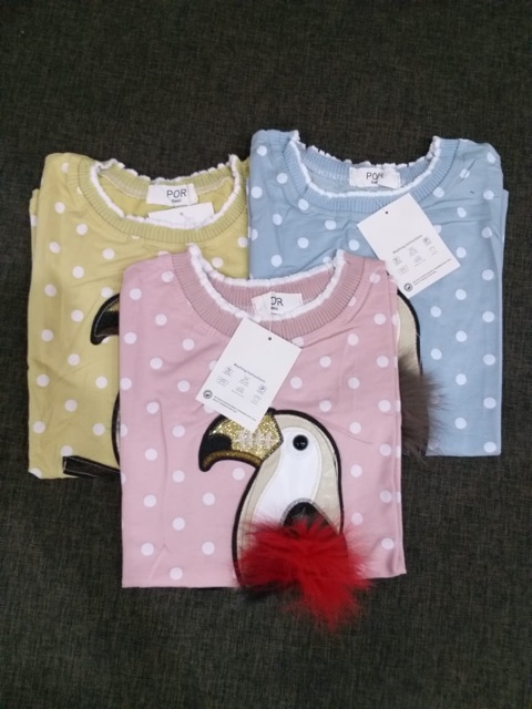 Kaos import Parrot