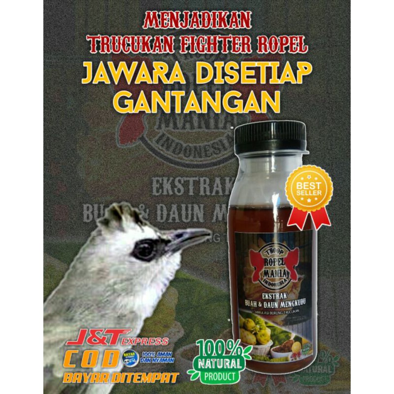 Ramuan Untuk Burung Trucukan Biar Gacor