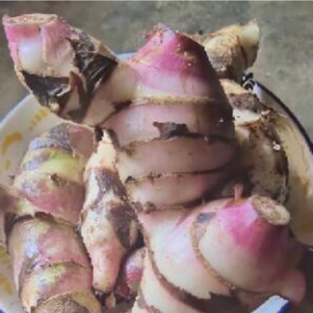 

PROMO UMBI GANYONG merah 1 kg