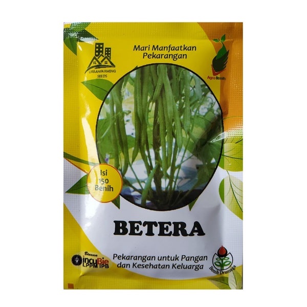 IPB - Benih Buncis Tegak Tanpa Lanjar BETERA Isi 150 butir