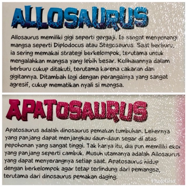 Seri Pengenalan Dinosaurus - Buku Cerita Anak - zikrul Kids