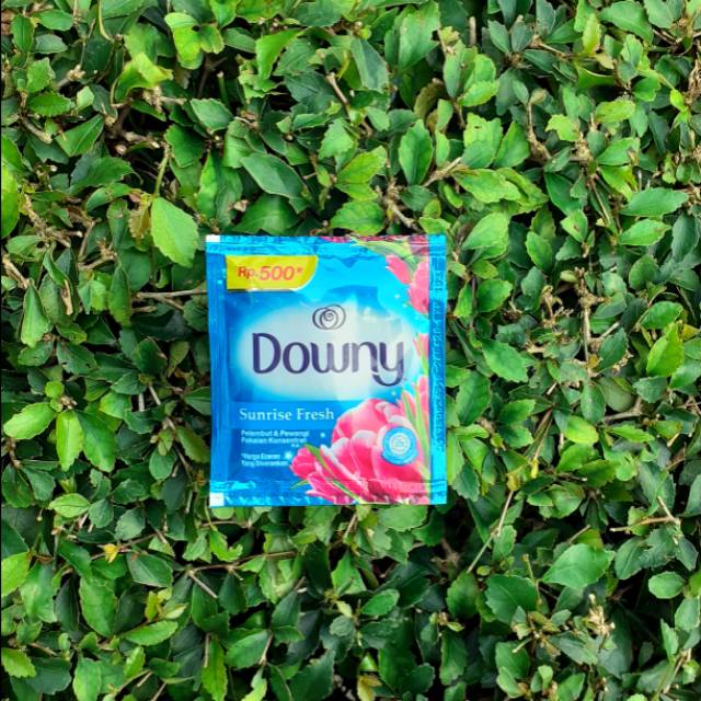

Downy 500