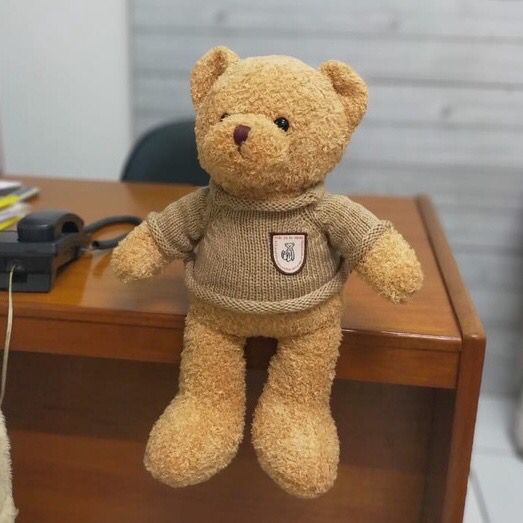 Boneka Teddy Bear Sweater Silky Beruang Animal Kado Ultah Souvenir ukuran 30cm/35cm/45cm