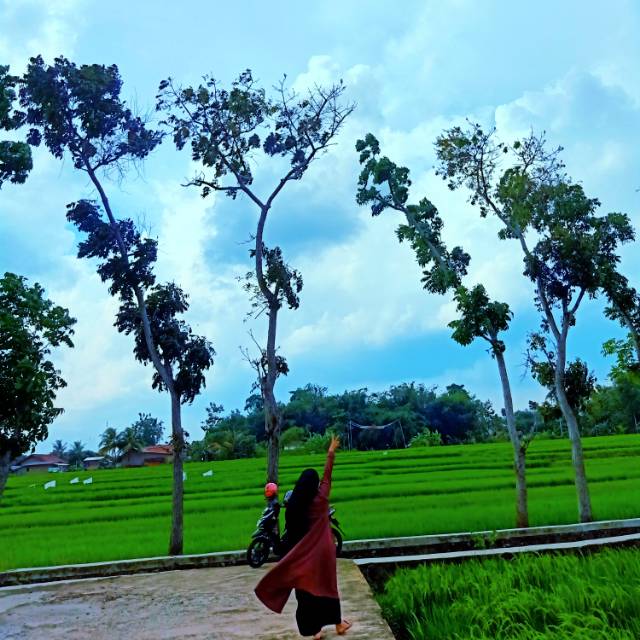 jxsi66a93i4zp2nkwmpl3y23nshx